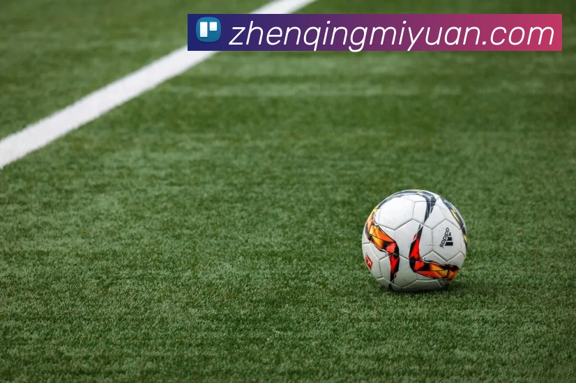 世界杯官方网络平台APP 体育赛事宣传图